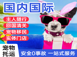 荷花空运国际宠物托运 【国